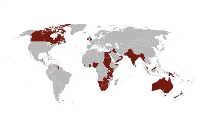 15 ответов на странные вопросы, которые большинству из нас и в голову не приходили
