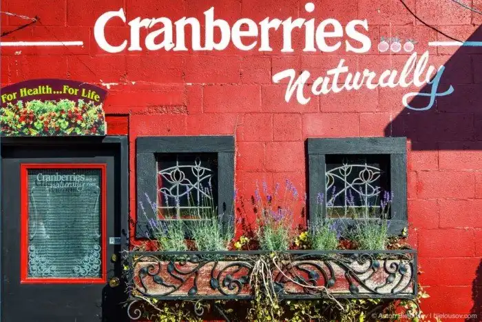 Сбор урожая клюквы в Ричмонде