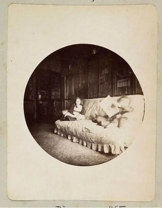 Первая компактная камера kodak ном.1: instagram xix века