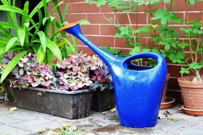 Эти простые хитрости будут полезны в каждом доме