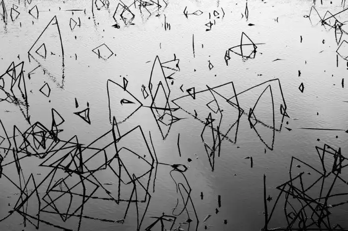 Победители международного конкурса EyeEm Photography Awards 2016