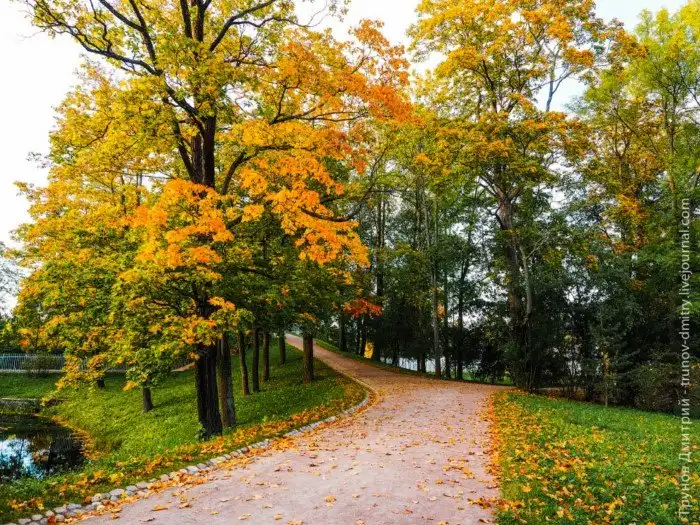 Прогулка по Пушкину