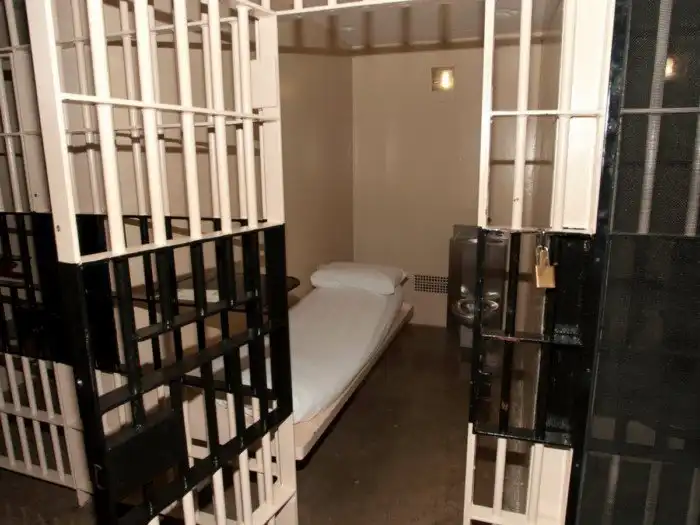 Захватывающая история о прощелыге, который успел побывать хирургом, начальником тюрьмы, преподавателем колледжа и не только