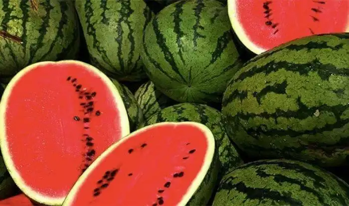 Интересные факты про опорно-двигательный аппарат, которые вы могли не знать