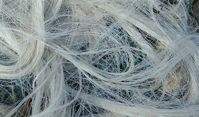 Интересные факты про опорно-двигательный аппарат, которые вы могли не знать