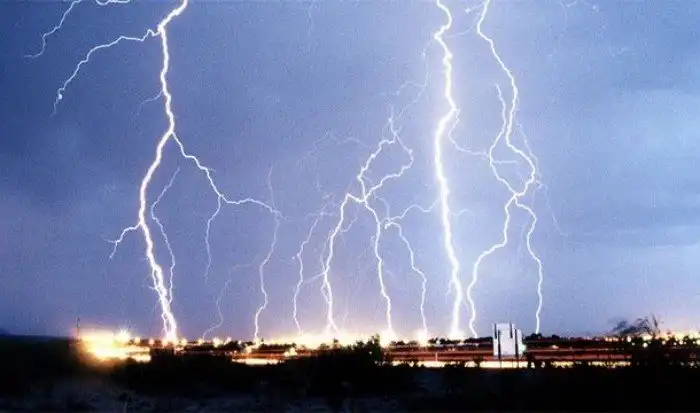 Интересные факты про опорно-двигательный аппарат, которые вы могли не знать