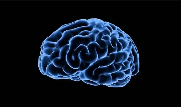 Интересные факты про опорно-двигательный аппарат, которые вы могли не знать