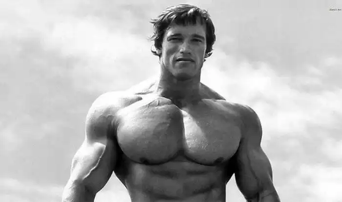 Интересные факты про опорно-двигательный аппарат, которые вы могли не знать