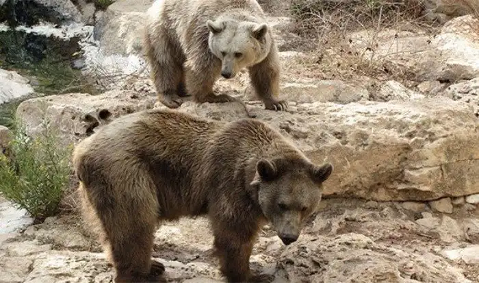 Интересные факты про опорно-двигательный аппарат, которые вы могли не знать