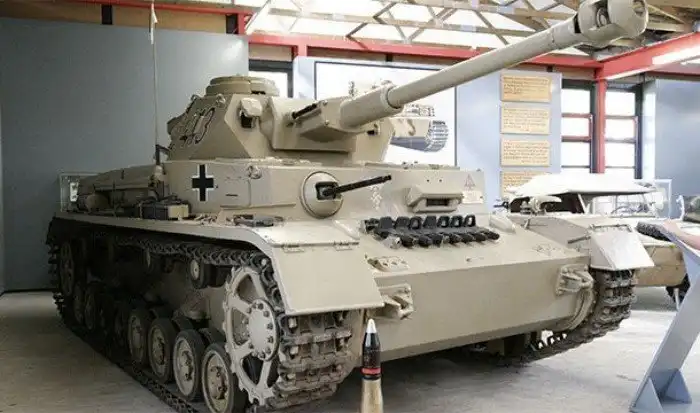 Интересные факты про опорно-двигательный аппарат, которые вы могли не знать