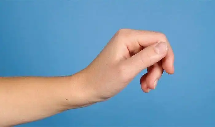 Интересные факты про опорно-двигательный аппарат, которые вы могли не знать