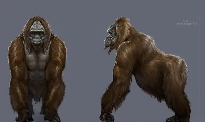 Годзилла наяву: вымершие виды, поражающие воображение