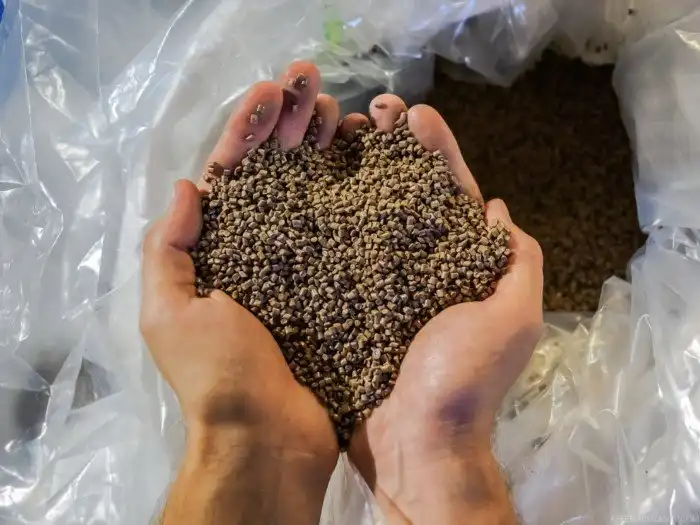 Как перерабатывают пластиковые бутылки