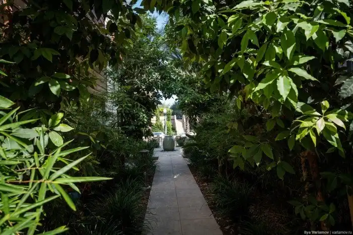 Новые районы Лос-Анджелеса. Хотели бы так жить?