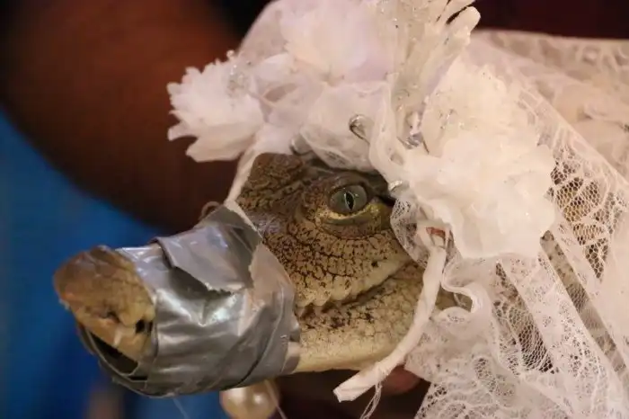 Самые сумасшедшие и неадекватные браки