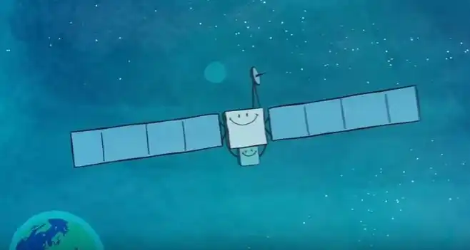 Всё о розетте и филе