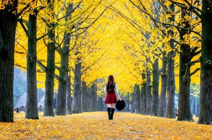 Корея: 11 лайфхаков для путешественников