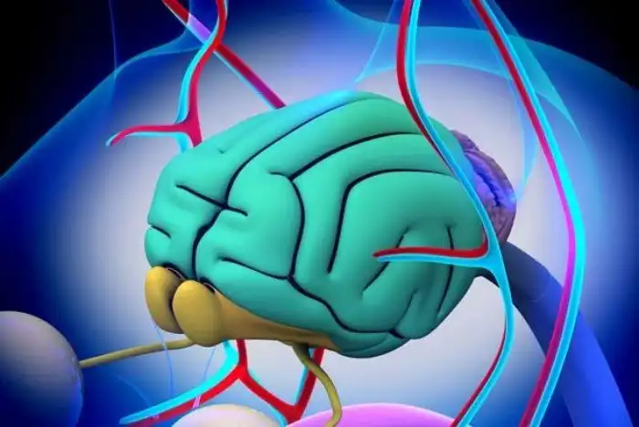 Чего ещё мы не знали о кошках