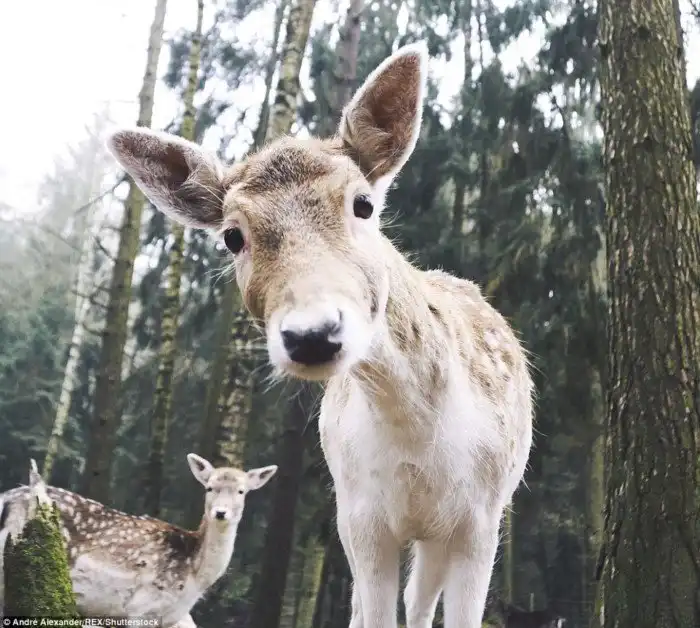 Европейские пейзажи, будто сошедшие со страниц волшебных сказок