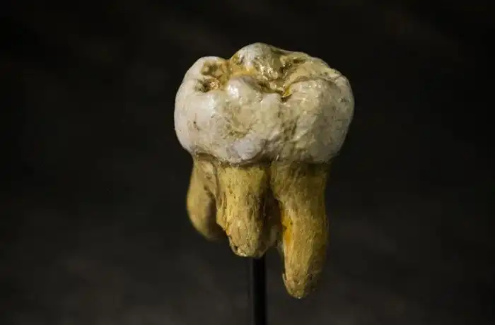 10 таинственных человеческих популяций