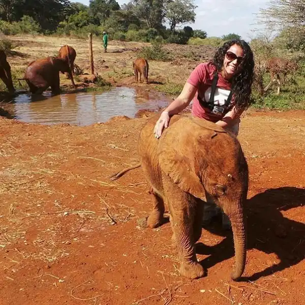 Страус, который считает себя слоном