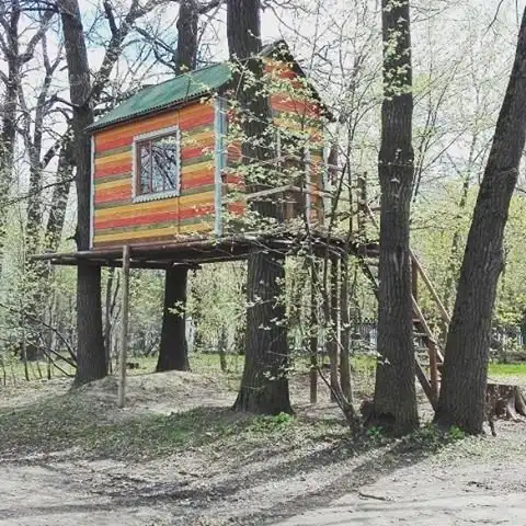 Они выросли и осуществили свои детские мечты