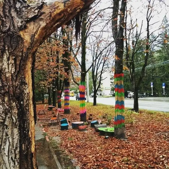 Самым благоустроенным городом России стал Ставрополь