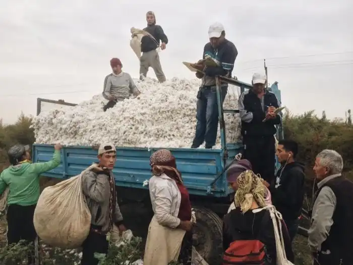 В Узбекистане за съемку сбора хлопка задержали фотографа
