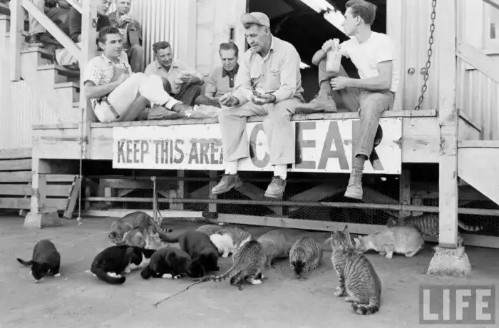 Изнанка фальшивого города киностудии Universal Pictures