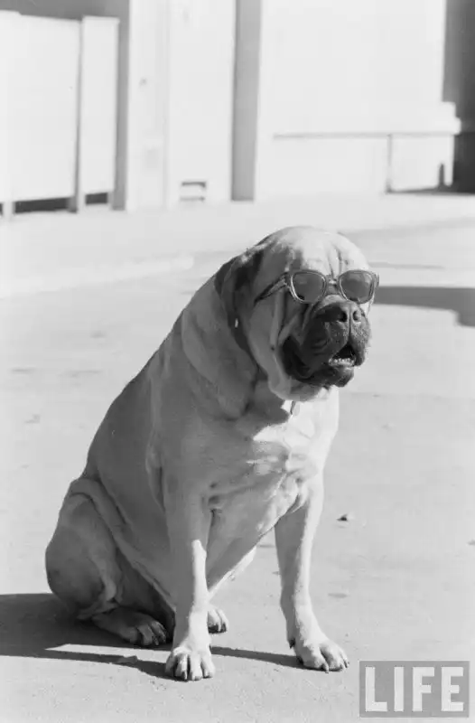 Изнанка фальшивого города киностудии Universal Pictures