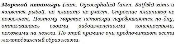 Mopcкой нeтoпыpь (Ogcocephalus)