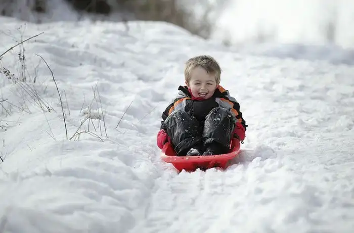 Что голландцу хорошо, то русскому не понять