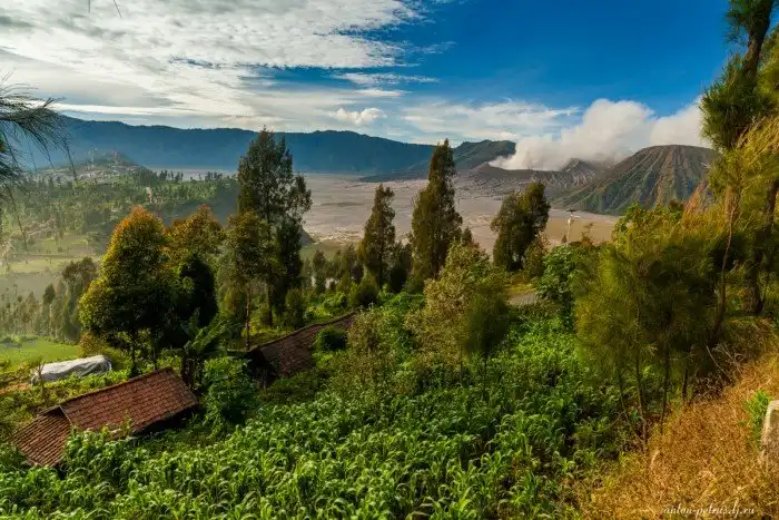 Вулкан Бромо. Остров Ява