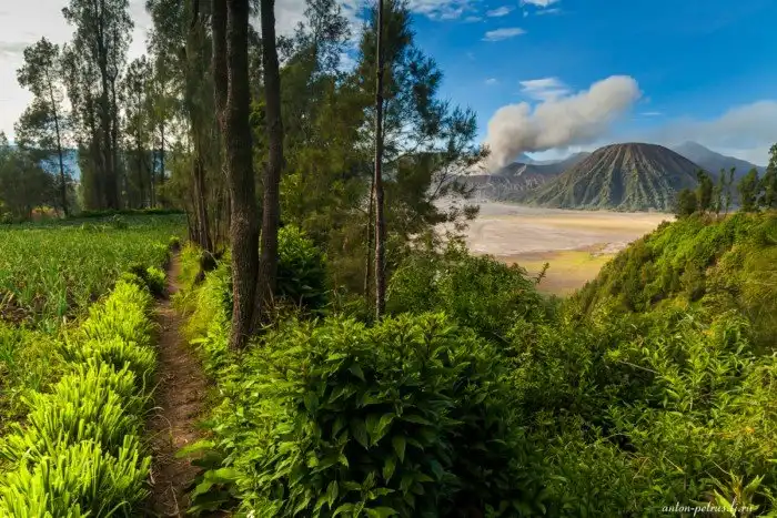 Вулкан Бромо. Остров Ява