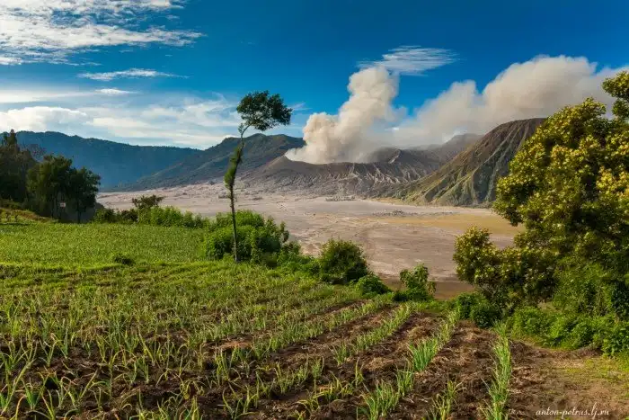 Вулкан Бромо. Остров Ява