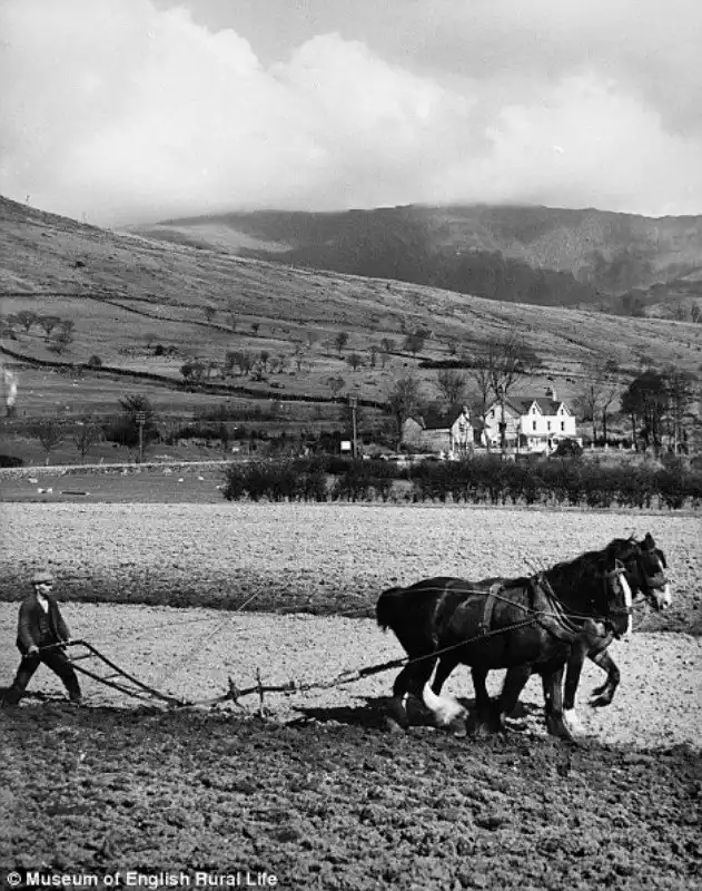 Забытые традиции британской сельской жизни в исторических фотографиях