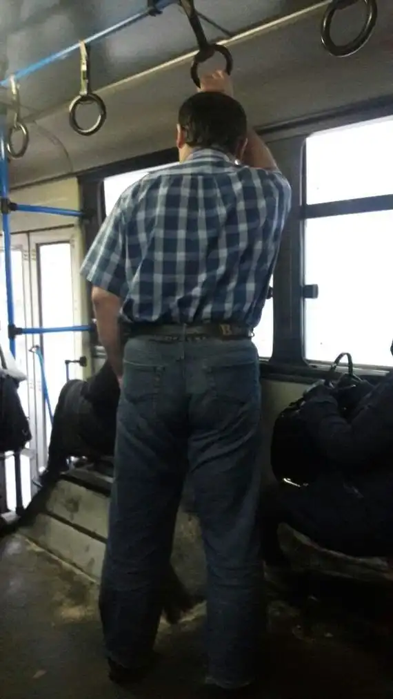 Сумасшедшие моржи, которые замотивируют вас на активный отдых