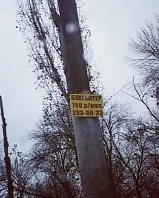 Рецепты выживания в кризис, которые спасут вас от голодной и мучительной смерти