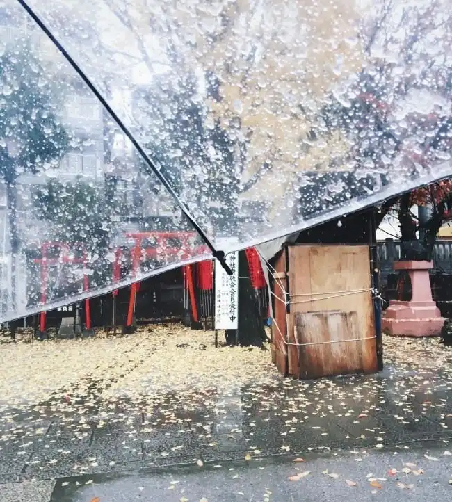 В Токио впервые за 54 года первый снег выпал в ноябре