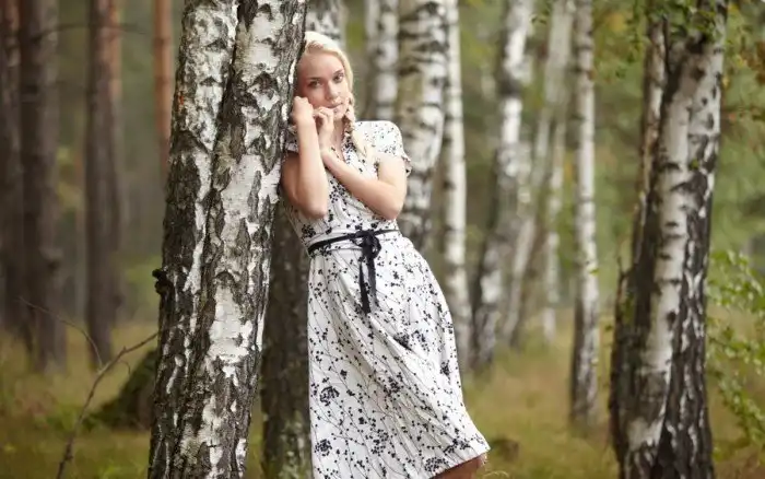 Целебная сила дерева. Как деревья нас лечат