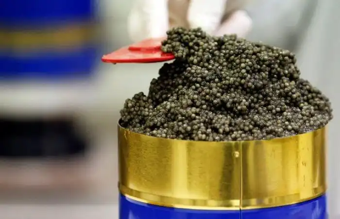 Производство чёрной икры