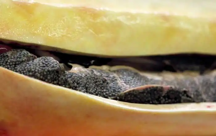 Производство чёрной икры