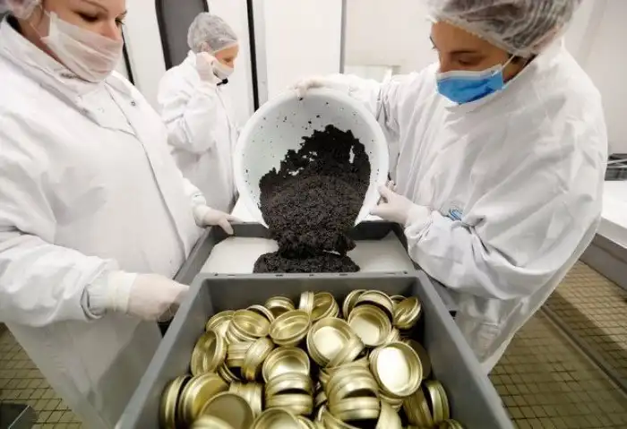 Производство чёрной икры