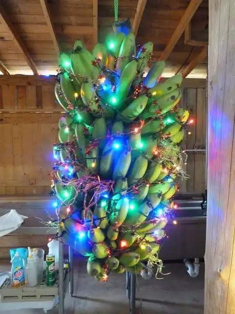 12 рождественских традиций, которые вас удивят