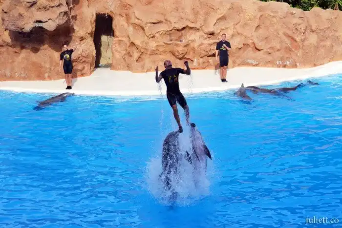 Самые красивые зоопарки мира