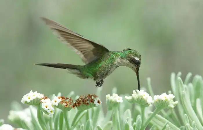 27 самых интересных научных фотографий 2016 года