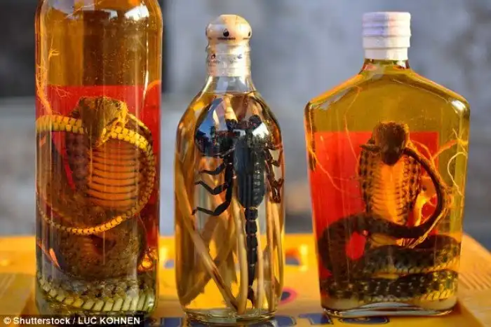 15 заморских деликатесов, при виде которых у вас пропадёт аппетит