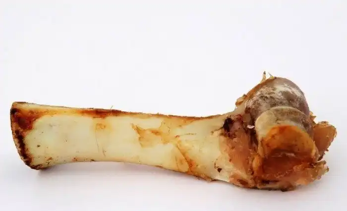 Продукты питания, которые ни в коем случае не следует давать кошкам