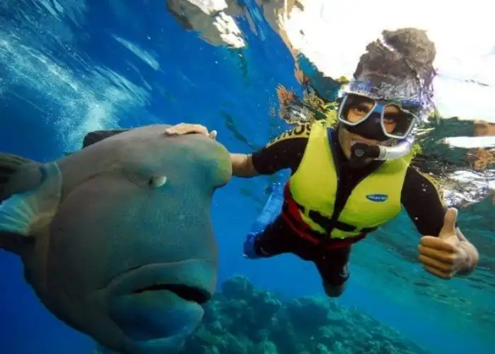 Интересные факты про Большой Барьерный риф, о которых вы захотите услышать