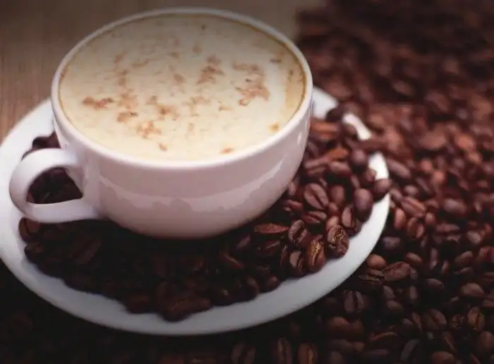 Продукты, которые вредны для вашей кошки